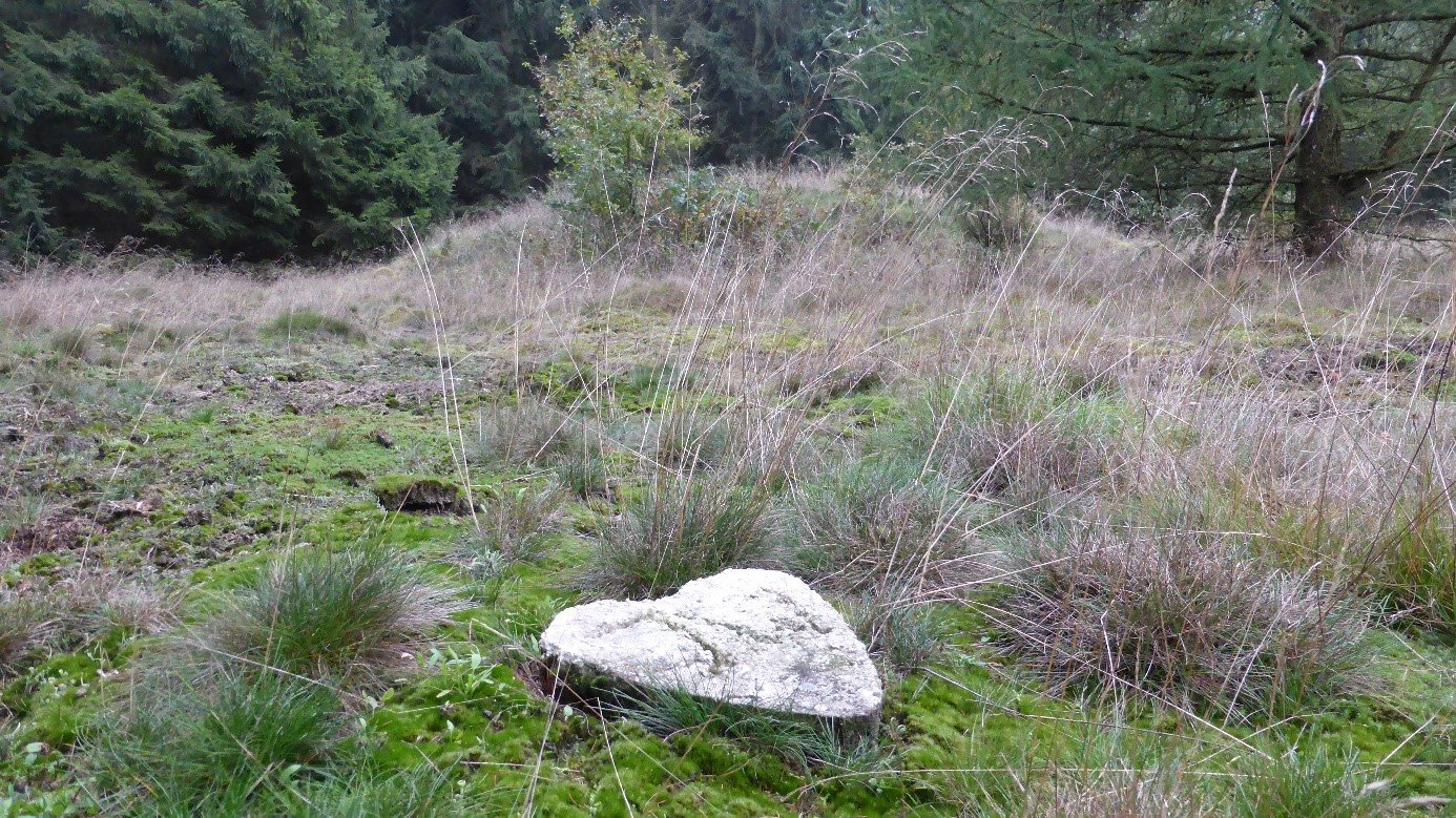 Bij een van de grafheuvel in het “Bos van Duintjer” bij Rolde liggen twee grafmonumenten; betonnen harten. Eén met de letter “JW” en de andere met een letter ”J” De betekenis van de initialen moeten nog worden achterhaald. (foto: Fred van den Beemt)