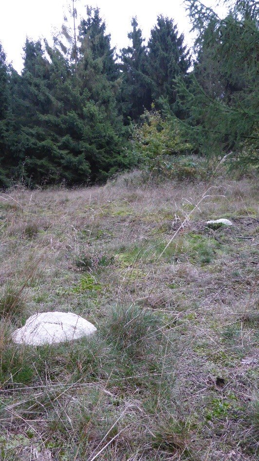 Bij een van de grafheuvel in het “Bos van Duintjer” bij Rolde liggen twee betonnen harten. 
