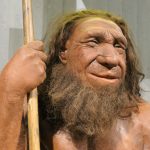 Neanderthaler museum, reconstructie neanderthaler man